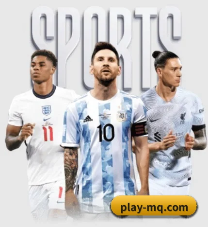 五大服务分区,信息按项目分类