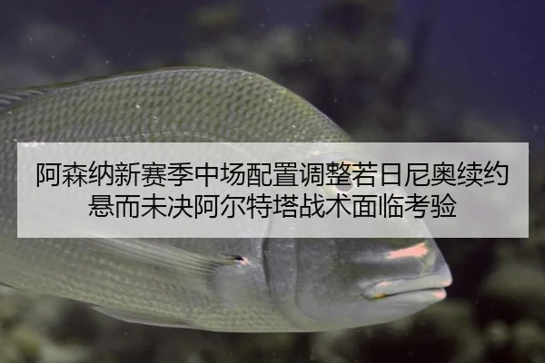 a-sen-na-xin-sai-ji-zhong-chang-pei-zhi-tiao-zheng-ruo-ri-ni-ao-xu-yue-xuan-er-wei-jue-a-er-te-ta-zhan-shu-mian-lin-kao-2-738.jpg