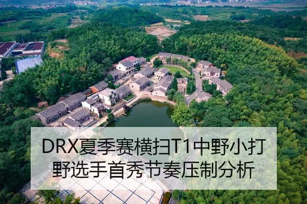 DRX夏季赛横扫T1中野小打野选手首秀节奏压制分析