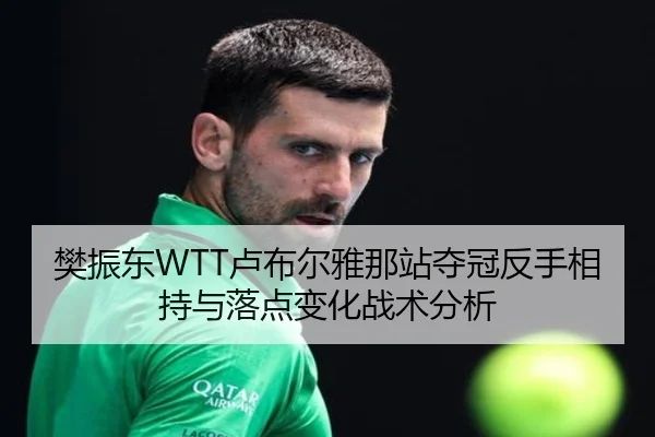 樊振东WTT卢布尔雅那站夺冠反手相持与落点变化战术分析